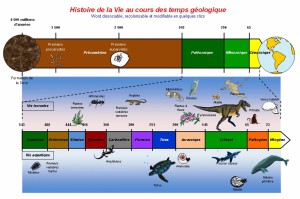 commencement de la vie